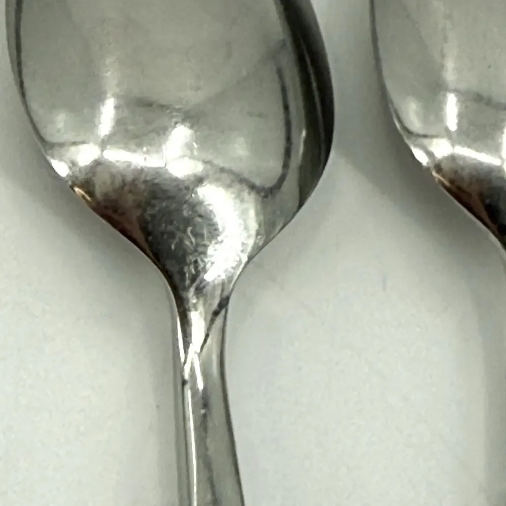 VTG Ron Spray Stainless Flatware Set of 4 Teaspoons 6 3/4” MCM Japan Leaf Sprout
